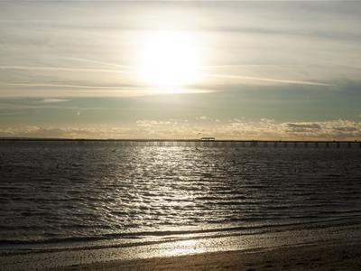Picture 14